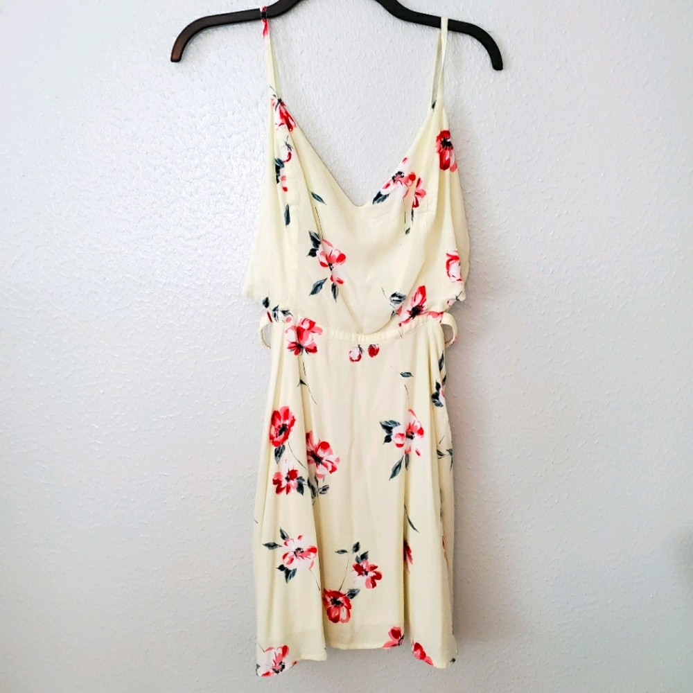 Hollister Dress